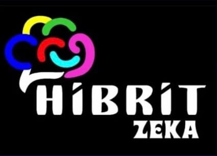 Hibrit Zeka Eğitim Kurumu logosu